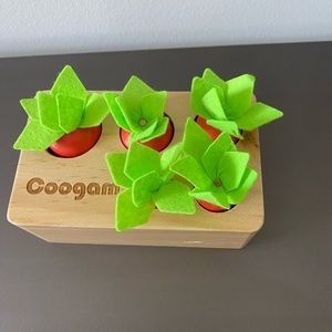 Montessori carrot toy